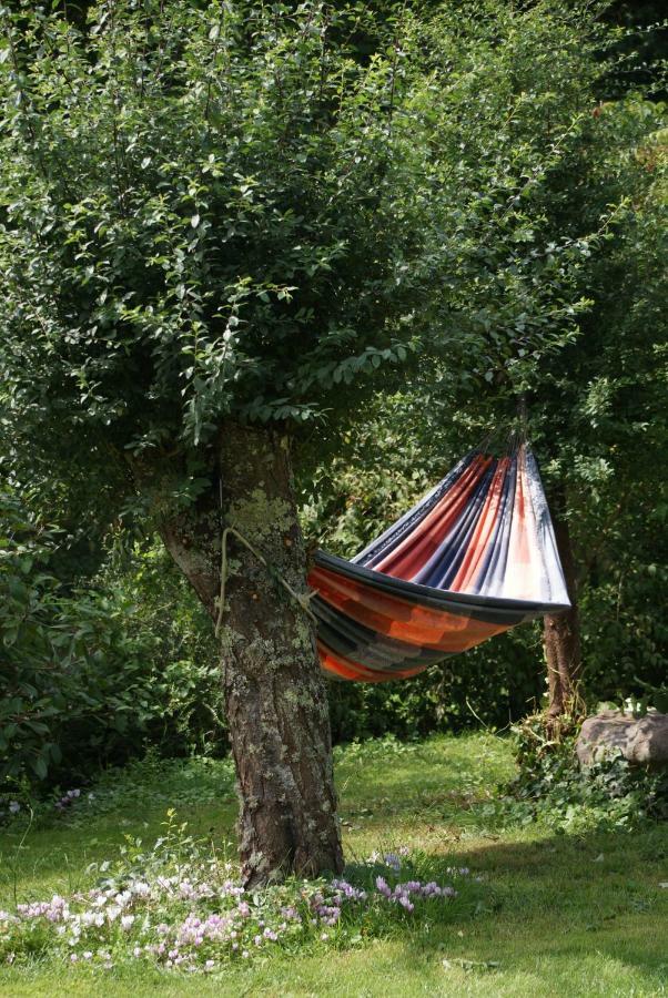 La Chaine Saint-Jean-du-Bois Eksteriør billede